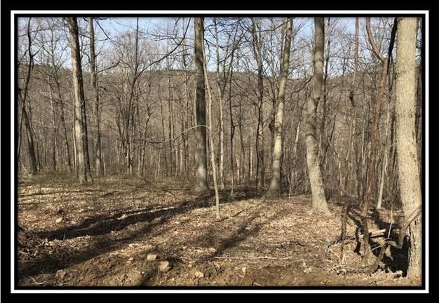 0 Greenbriar Road Bainbridge, OH 45612 - Photo 25 of 28