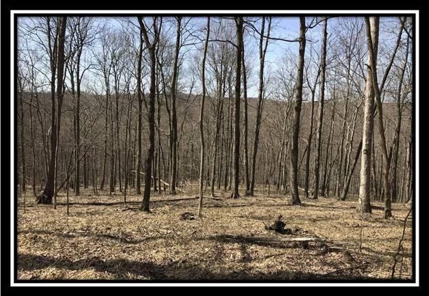 0 Greenbriar Road Bainbridge, OH 45612 - Photo 8 of 28