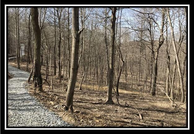 0 Greenbriar Road Bainbridge, OH 45612 - Photo 9 of 28