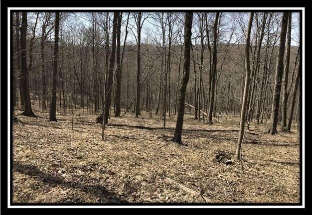0 Greenbriar Road Bainbridge, OH 45612 - Photo 10 of 28