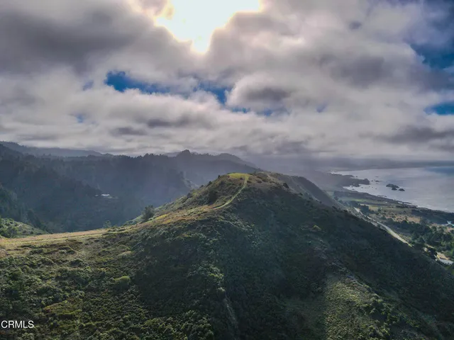 a view of a pathway with a yard