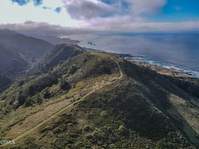 a view of a dry yard with wooden floor and city view