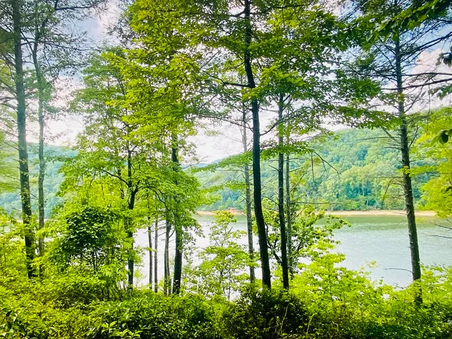 a view of lake from balcony