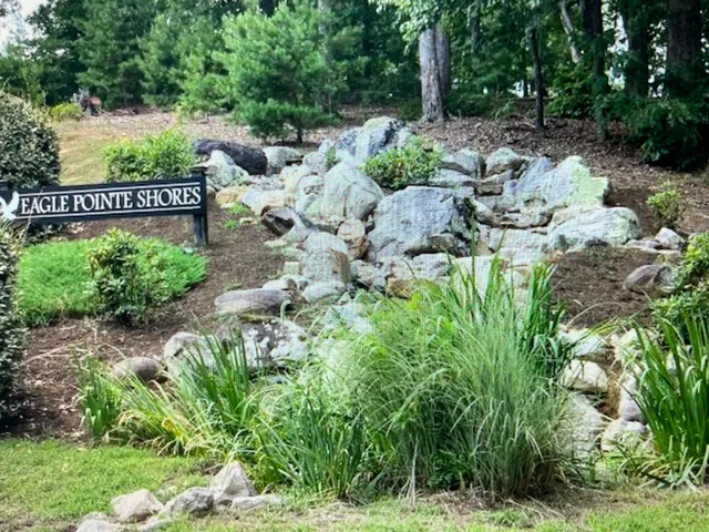 a view of a bunch of plants and tree