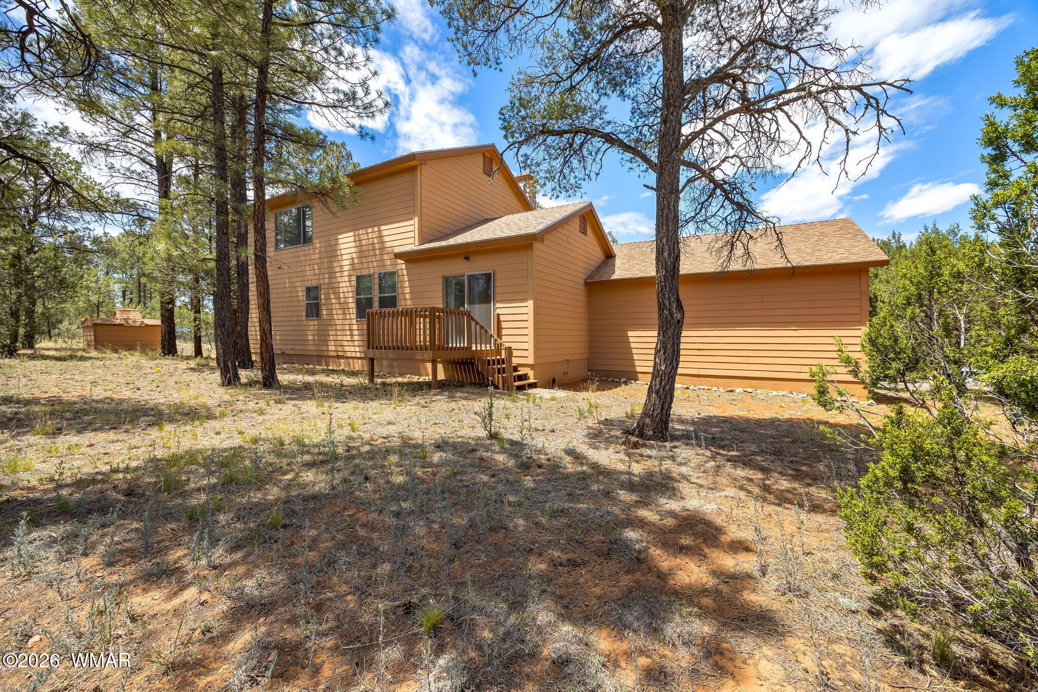 2937 Ransack Road Overgaard, AZ 85933 - Photo 6 of 34 a backyard of a house with large trees