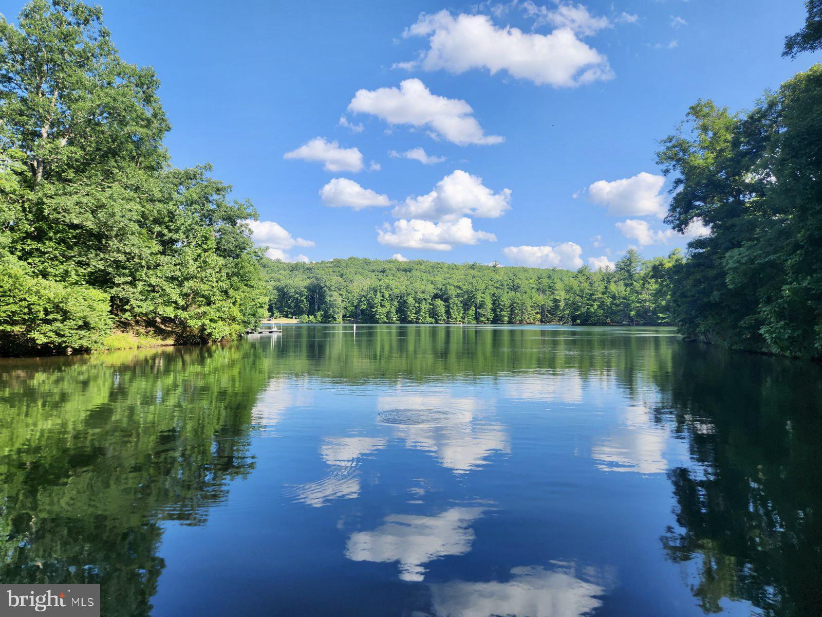 Cove/Lake views from the land