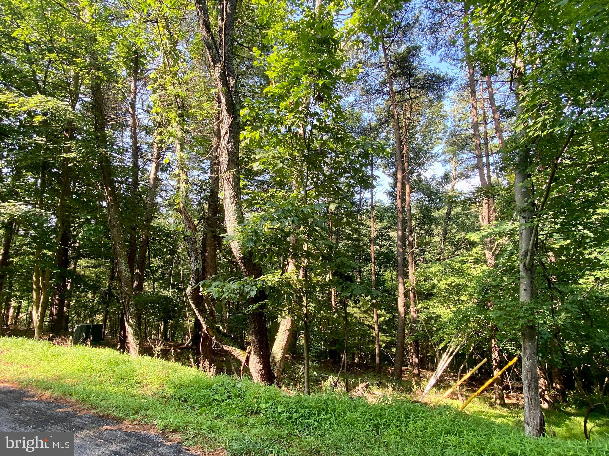 Lot 189 Northwood Circle Cross Junction, VA 22625 - Photo 11 of 30 View from Northwood Circle