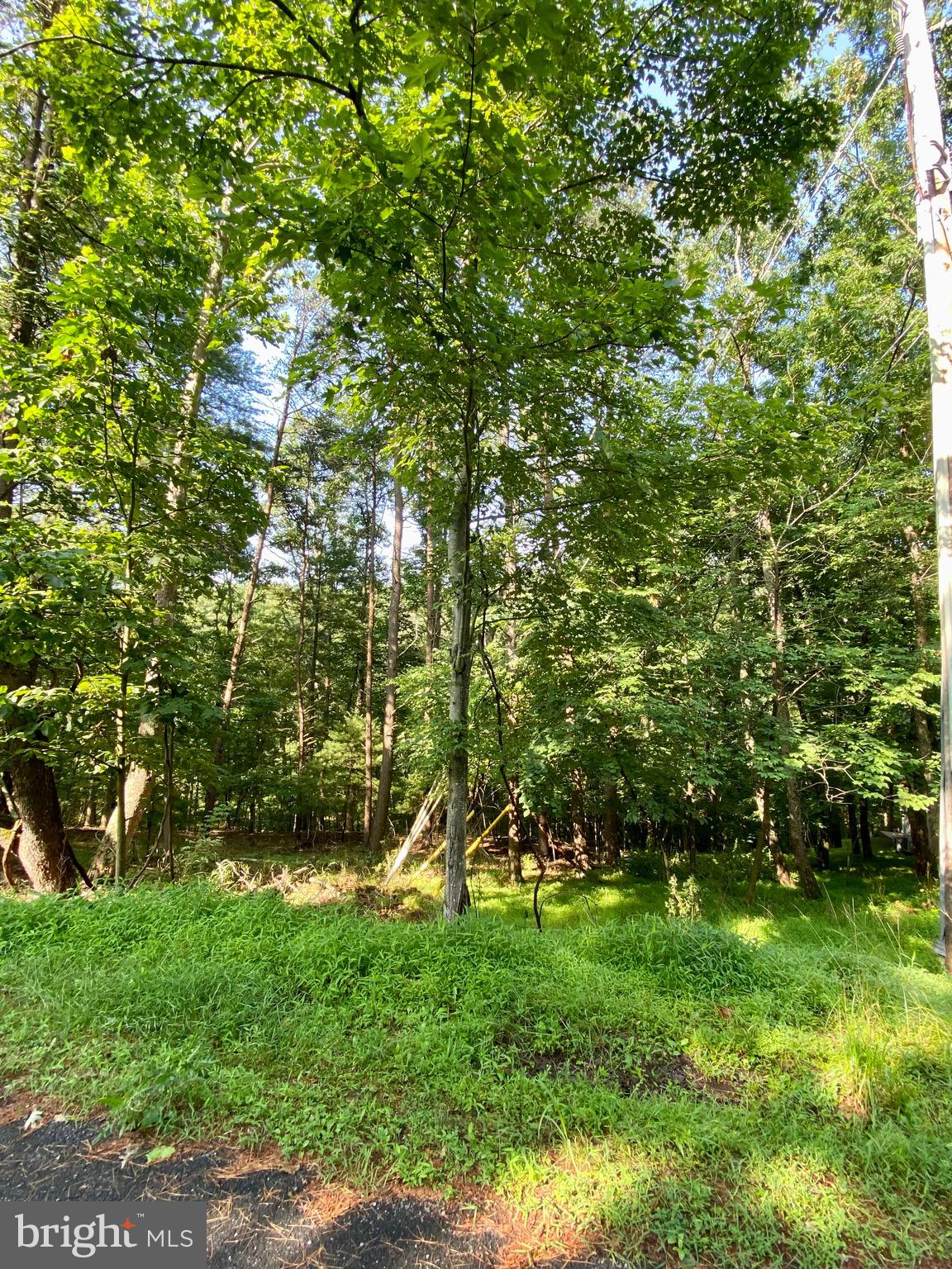 Lot 189 Northwood Circle Cross Junction, VA 22625 - Photo 16 of 30