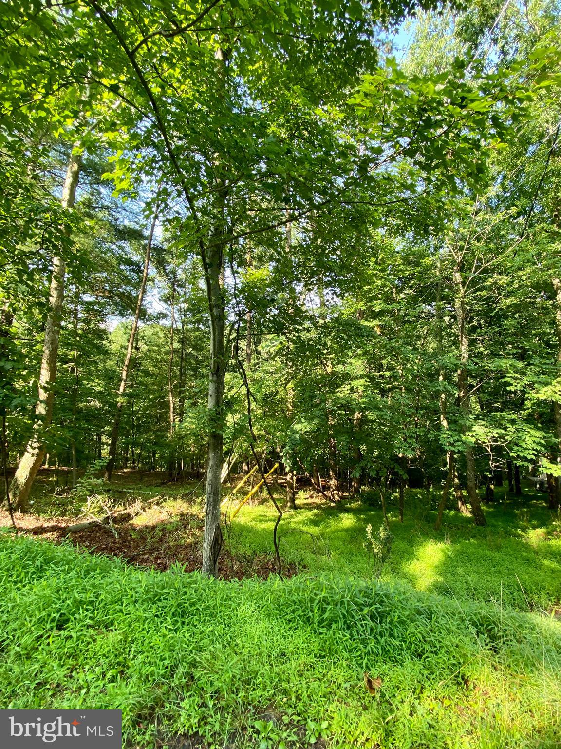 Lot 189 Northwood Circle Cross Junction, VA 22625 - Photo 17 of 30