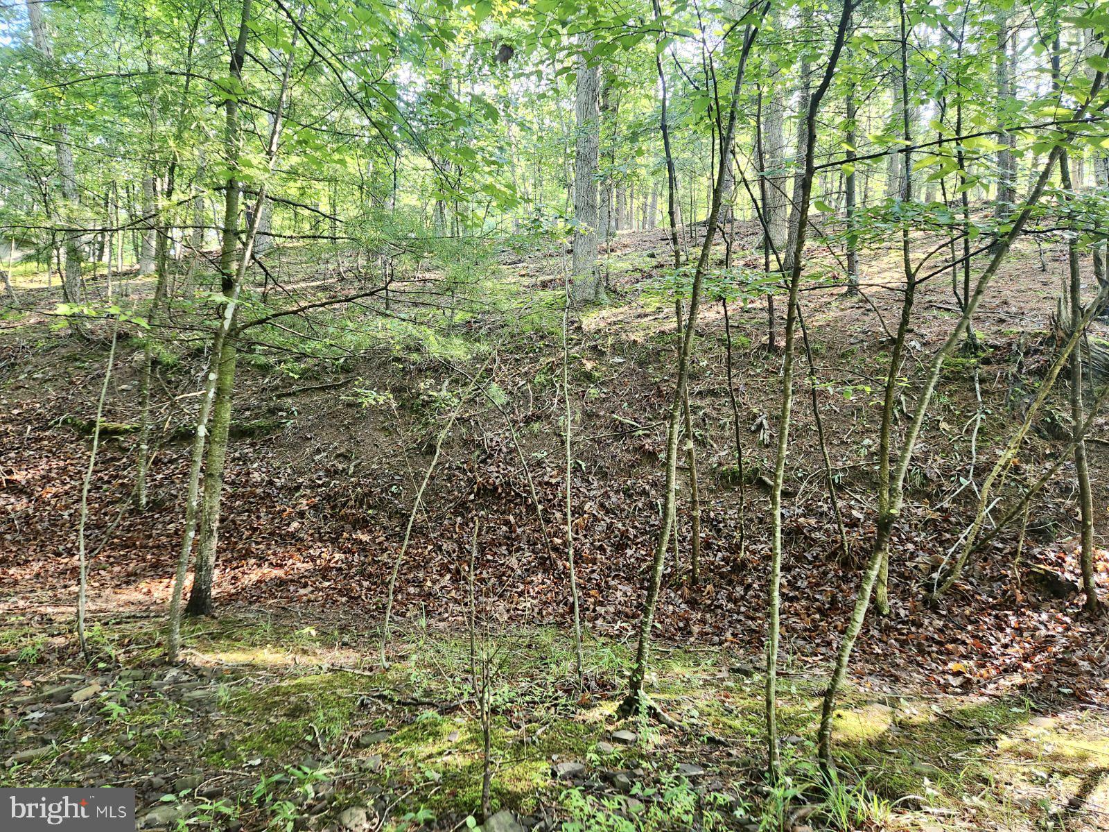 Lot 189 Northwood Circle Cross Junction, VA 22625 - Photo 18 of 30