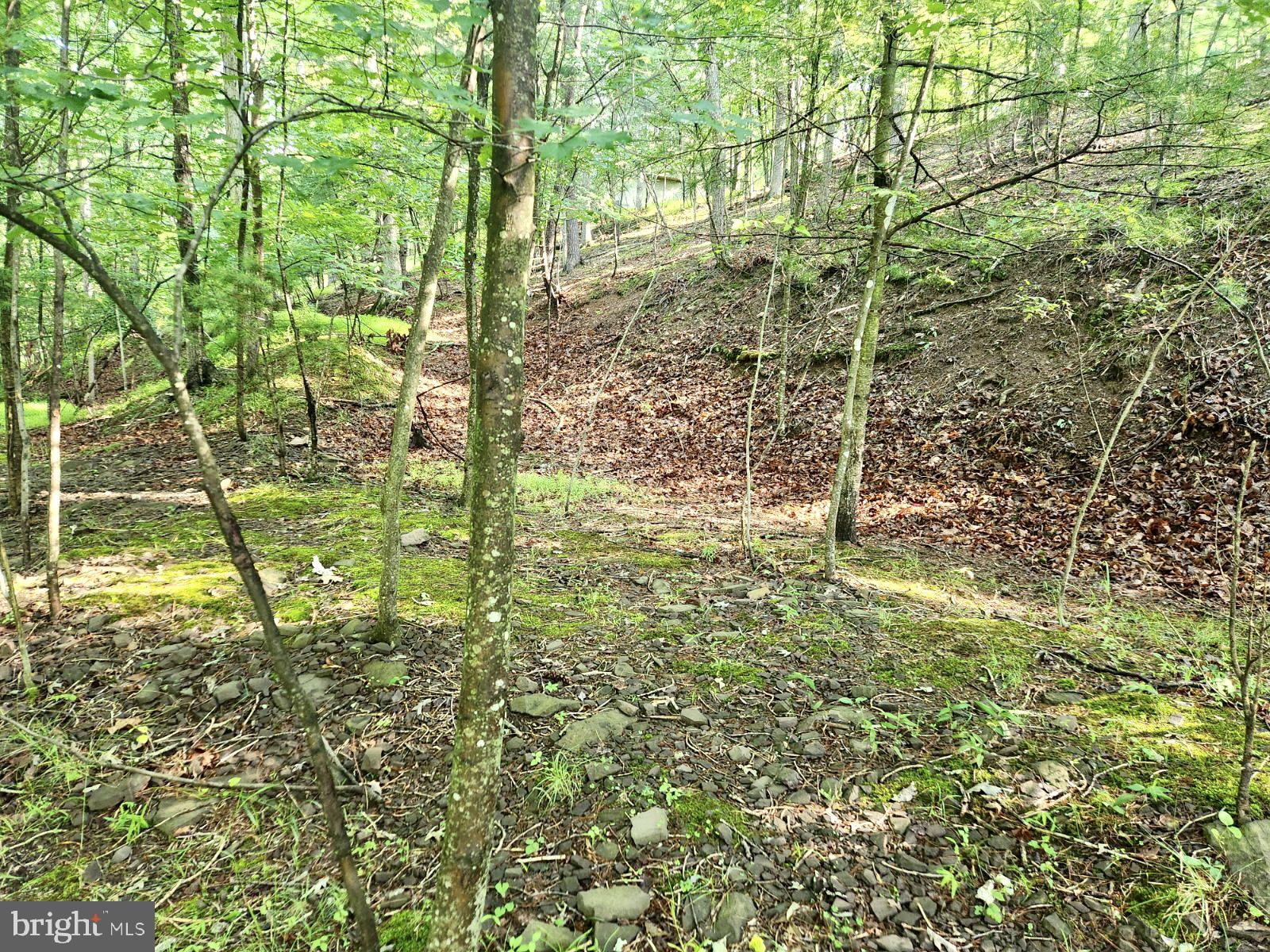 Lot 189 Northwood Circle Cross Junction, VA 22625 - Photo 19 of 30