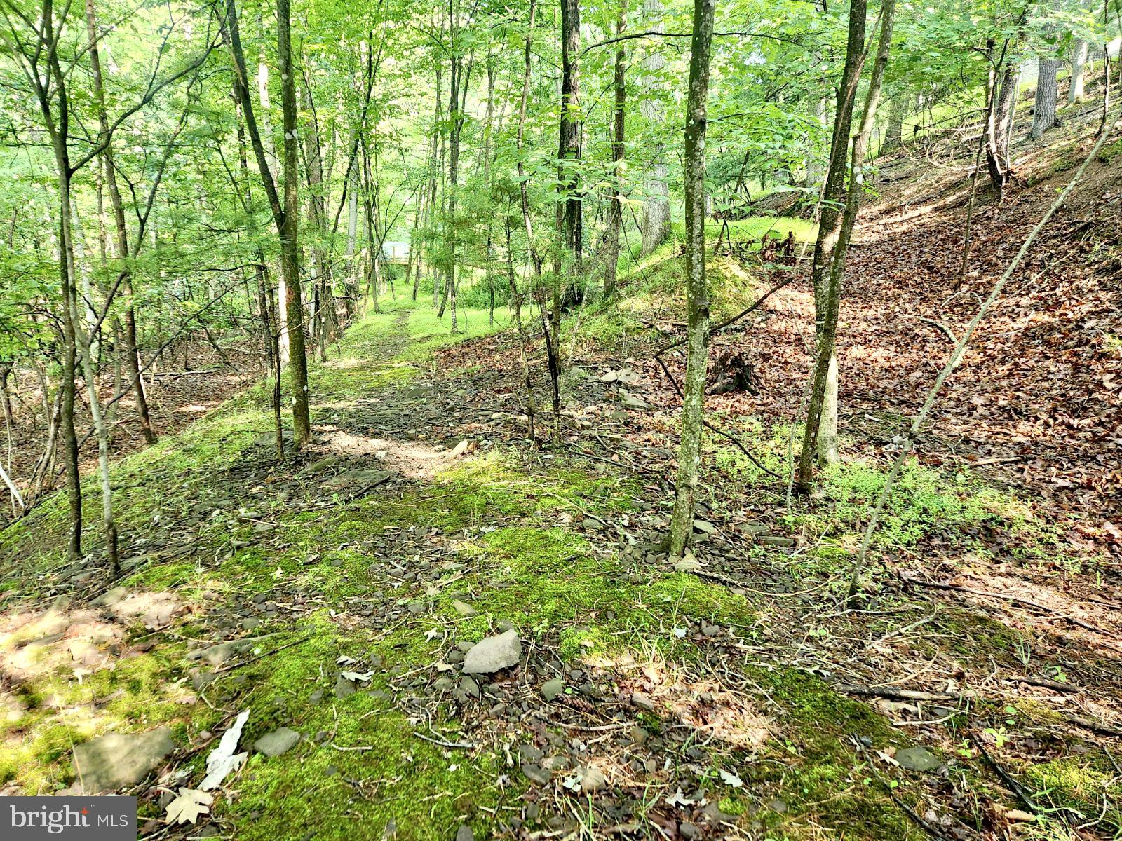 Lot 189 Northwood Circle Cross Junction, VA 22625 - Photo 20 of 30