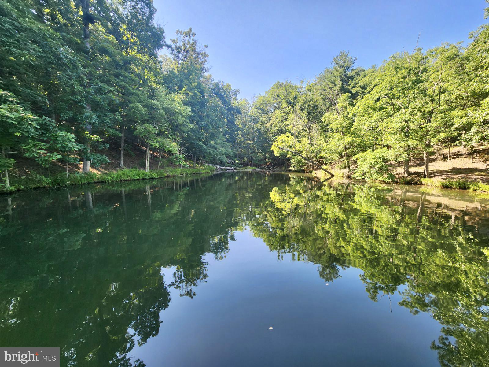 Lot 189 Northwood Circle Cross Junction, VA 22625 - Photo 3 of 30 Cove view