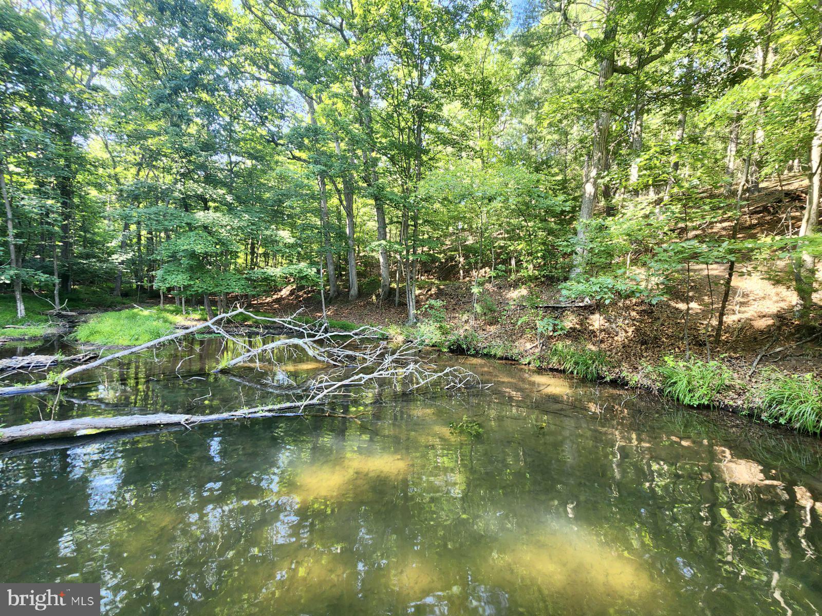 Lot 189 Northwood Circle Cross Junction, VA 22625 - Photo 4 of 30