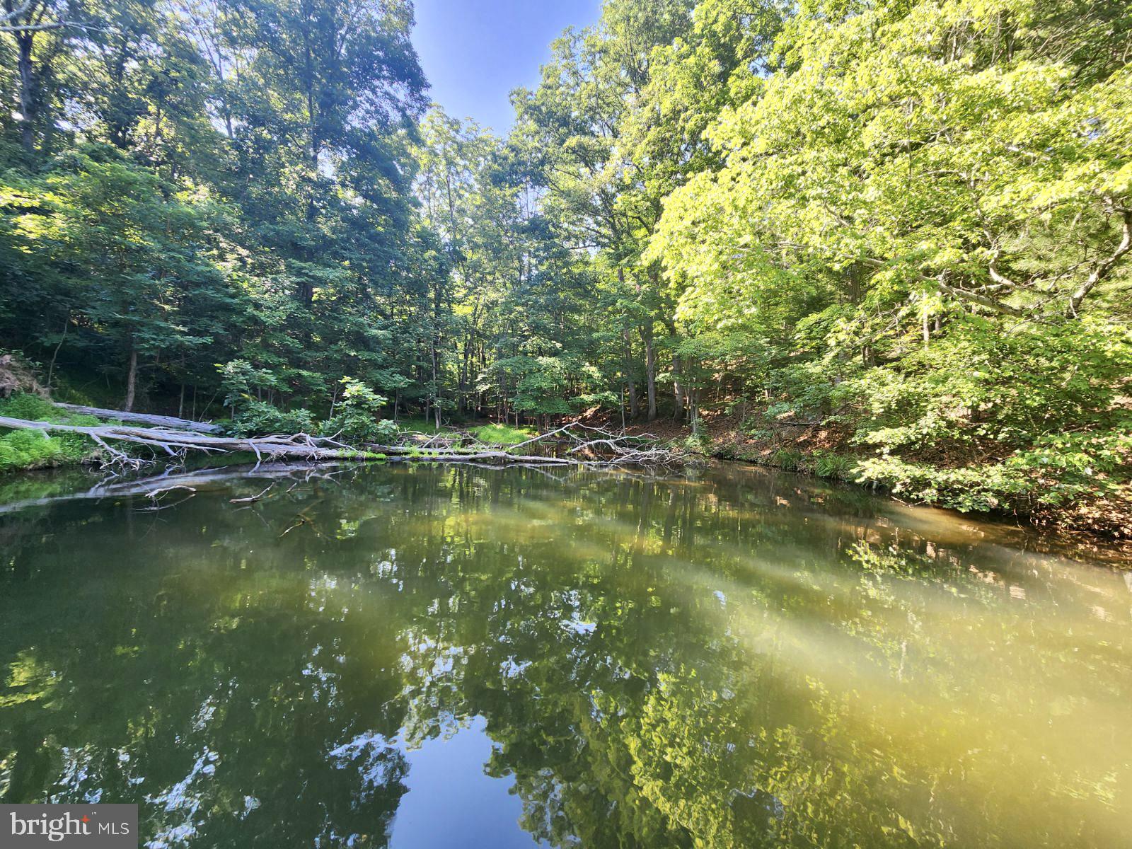 Lot 189 Northwood Circle Cross Junction, VA 22625 - Photo 5 of 30