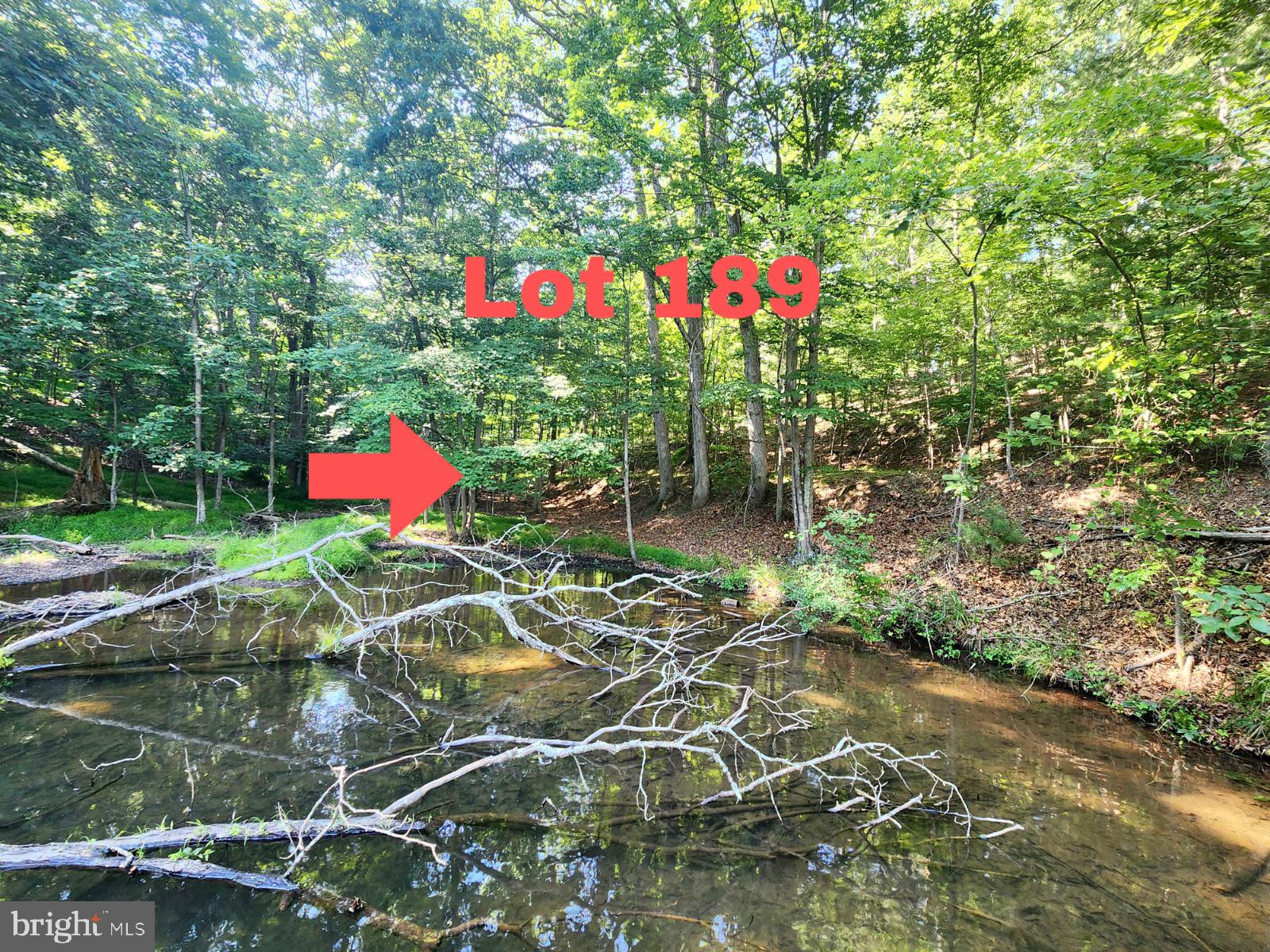 Lot 189 Northwood Circle Cross Junction, VA 22625 - Photo 6 of 30