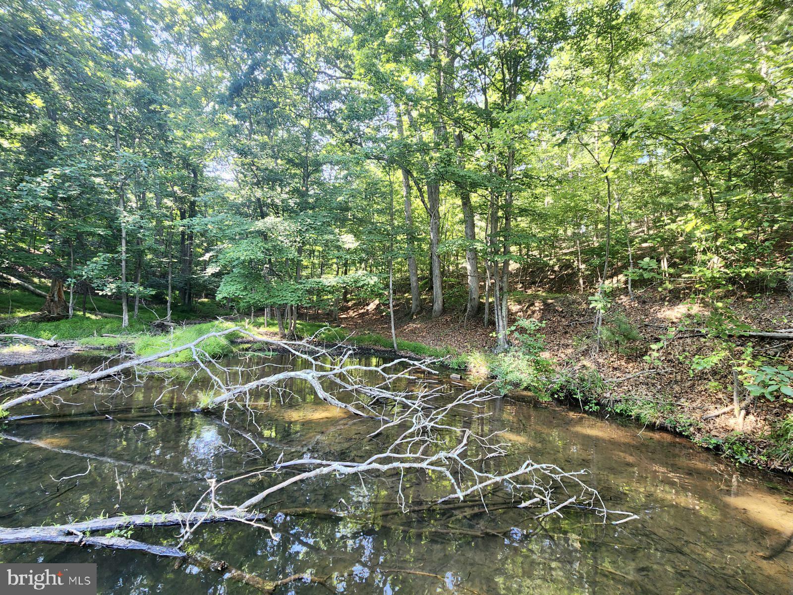 Lot 189 Northwood Circle Cross Junction, VA 22625 - Photo 7 of 30