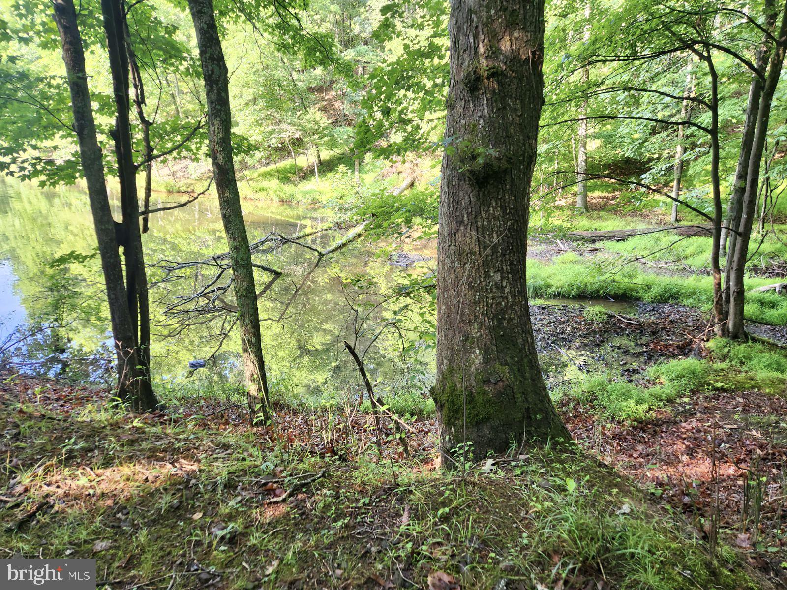 Lot 189 Northwood Circle Cross Junction, VA 22625 - Photo 8 of 30 Water view from corner of lot