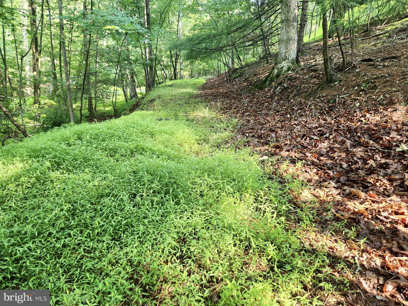 Lot 189 Northwood Circle Cross Junction, VA 22625 - Photo 9 of 30 Land has a flat/trail area