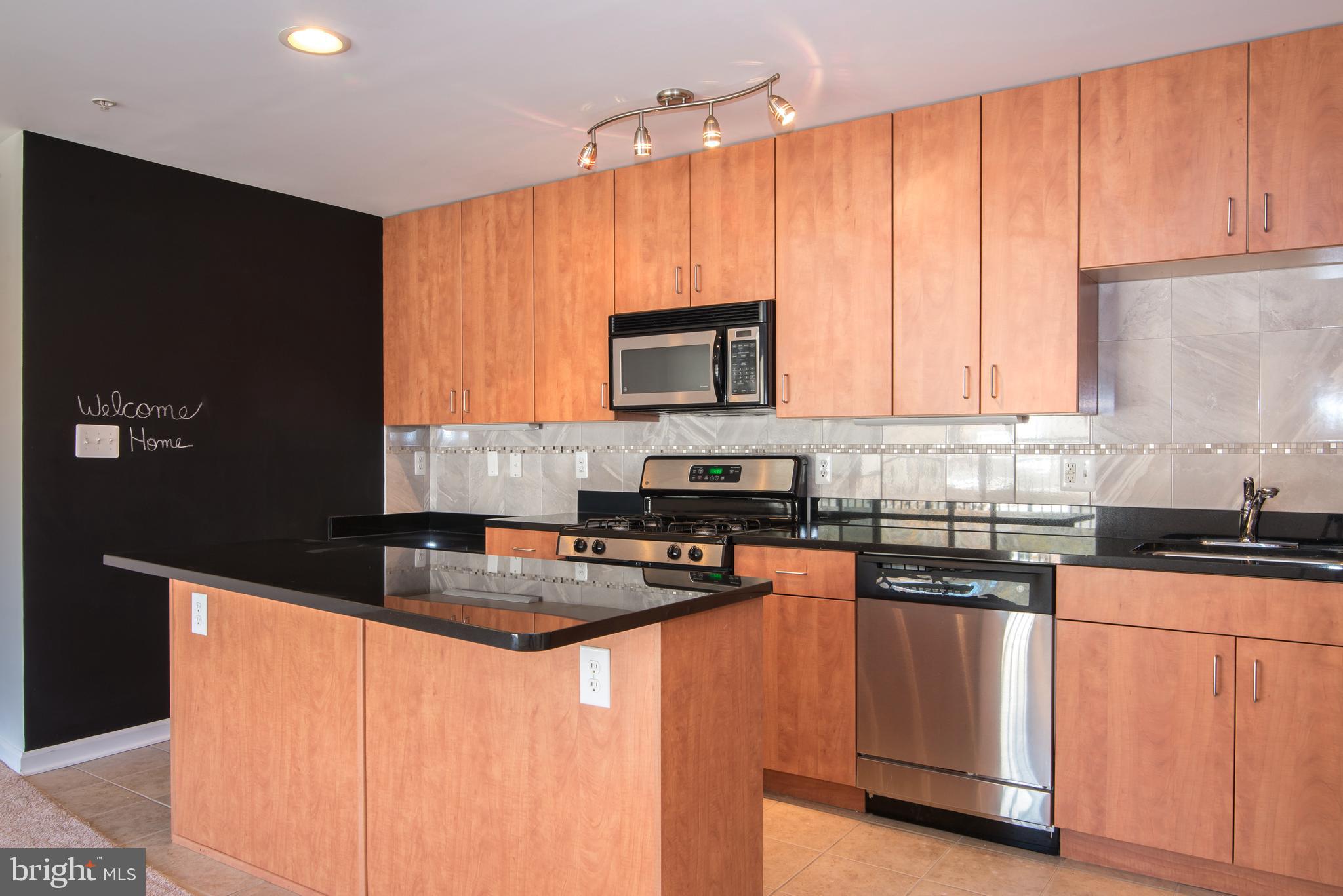 1006 Primrose Road, Unit 202 Annapolis, MD 21403 - Photo 5 of 15 Recessed & track lights, custom chalk-wall
