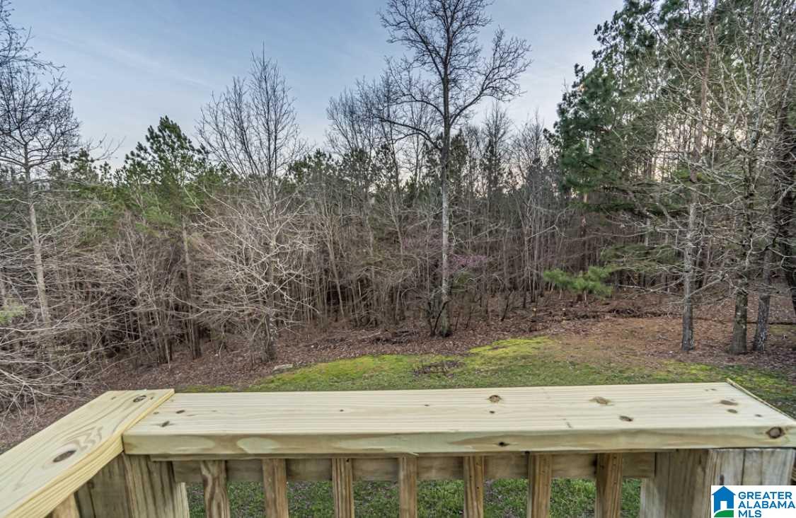 75 Cobbly Nob Lane Oneonta, AL 35121 - Photo 4 of 8