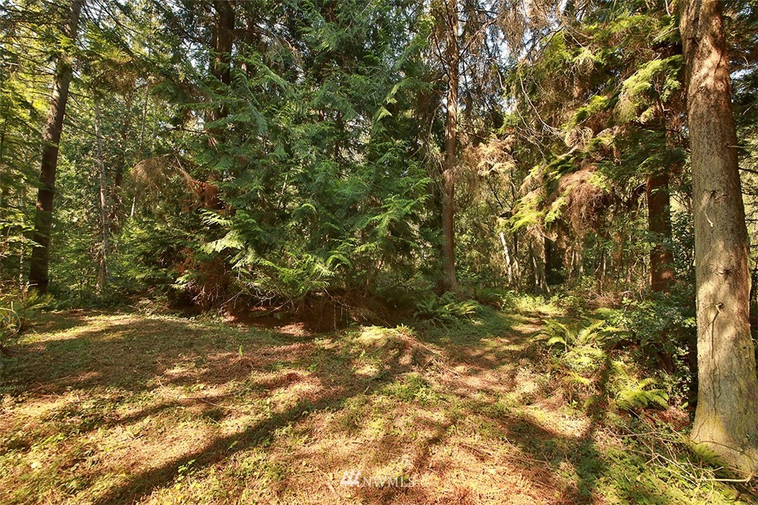 16 Woodbine Road Langley, WA 98260 - Photo 8 of 31 Gallery Image 8