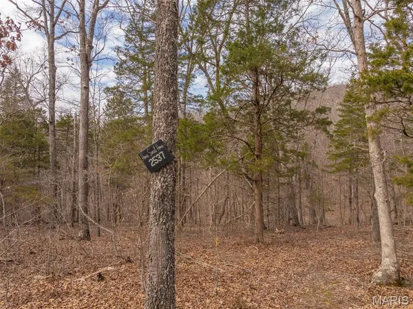 $99,000 | 2537 Alpine Woods Drive, Innsbrook, MO 63390