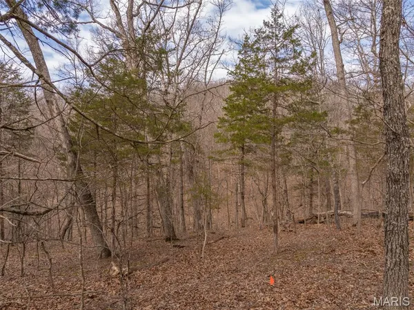 $99,000 | 2537 Alpine Woods Drive, Innsbrook, MO 63390