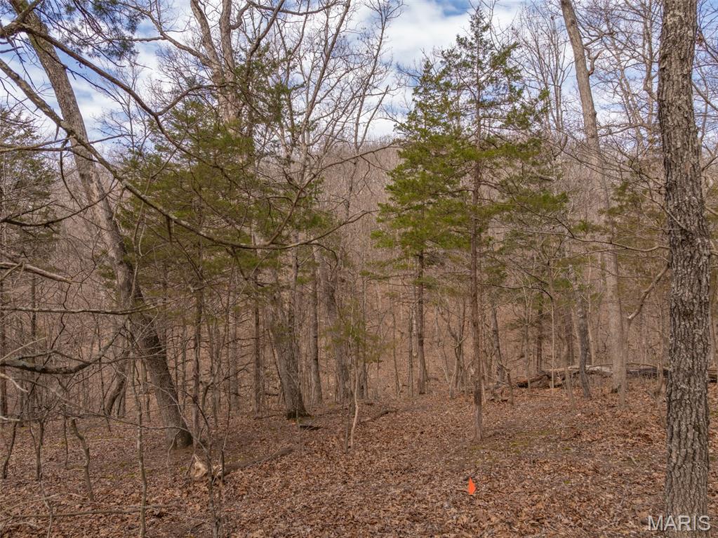 2537 Alpine Woods Drive Innsbrook, MO 63390 - Photo 4 of 14