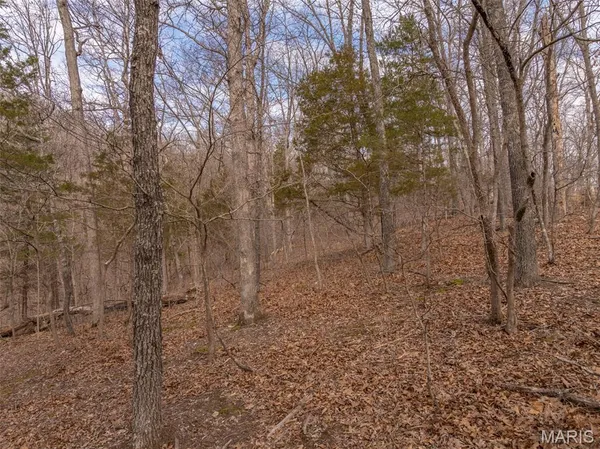 $99,000 | 2537 Alpine Woods Drive, Innsbrook, MO 63390