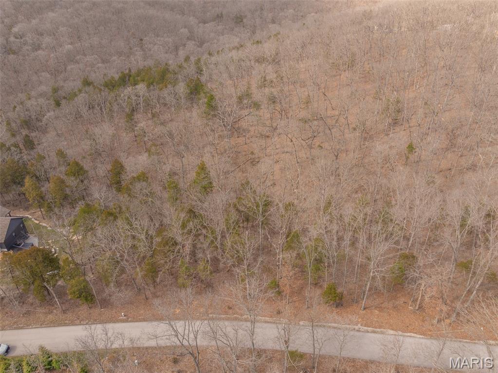 2537 Alpine Woods Drive Innsbrook, MO 63390 - Photo 6 of 14