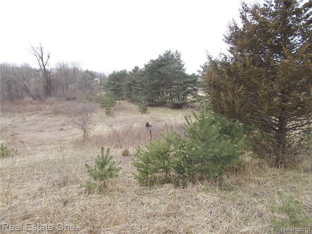 0 North Lake George Road Oakland, MI 48363 - Photo 23 of 55