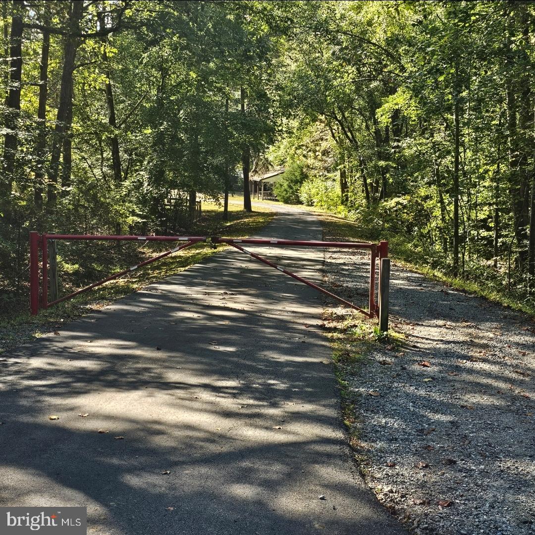1276 Peach Grove Road Louisa, VA 23093 - Photo 33 of 44