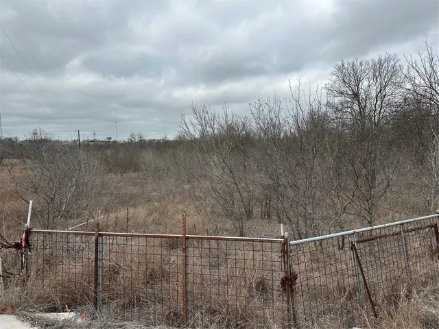 a view of a yard with a tree