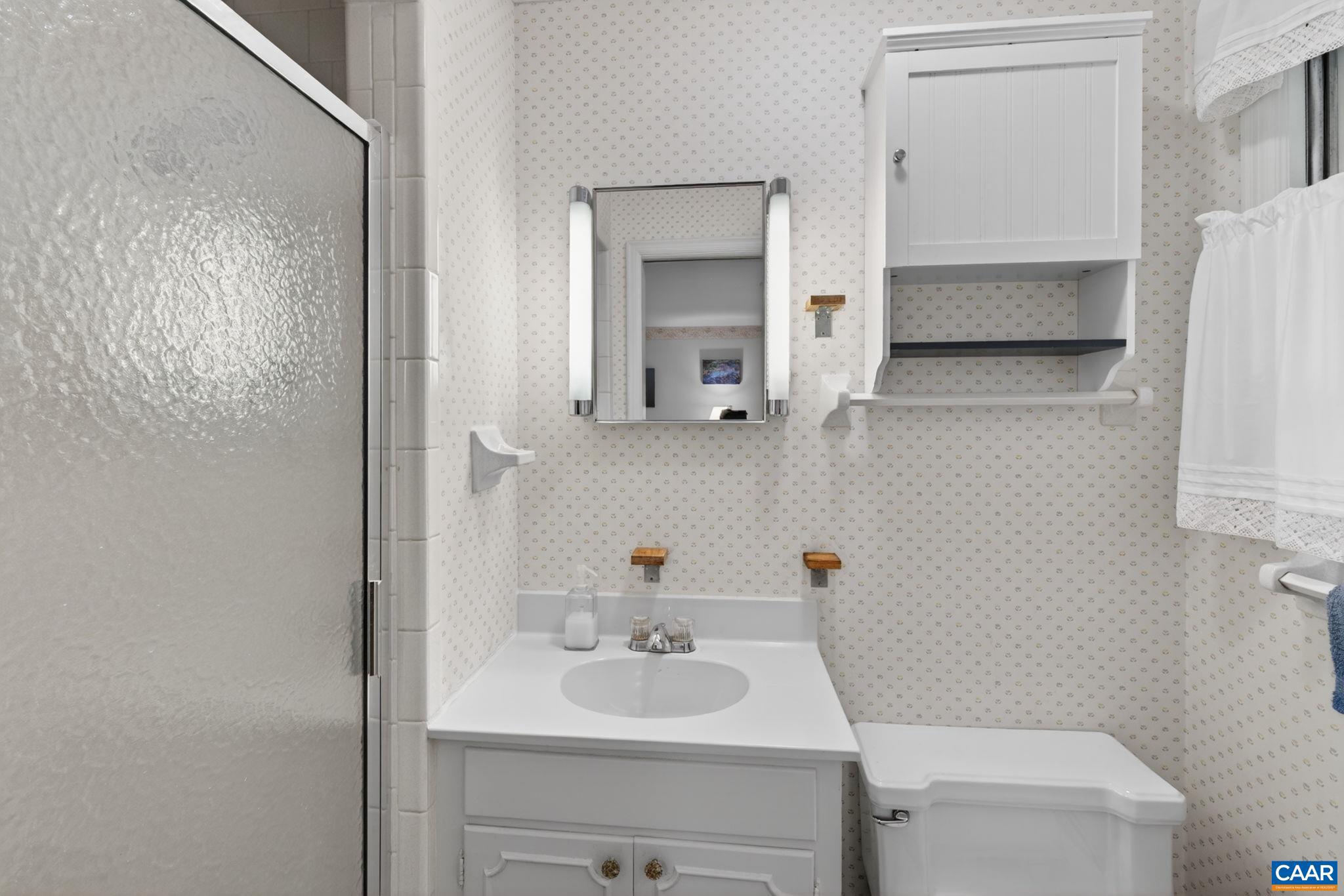 2409 Kerry Lane Charlottesville, VA 22901 - Photo 52 of 54 a bathroom with a sink toilet and mirror