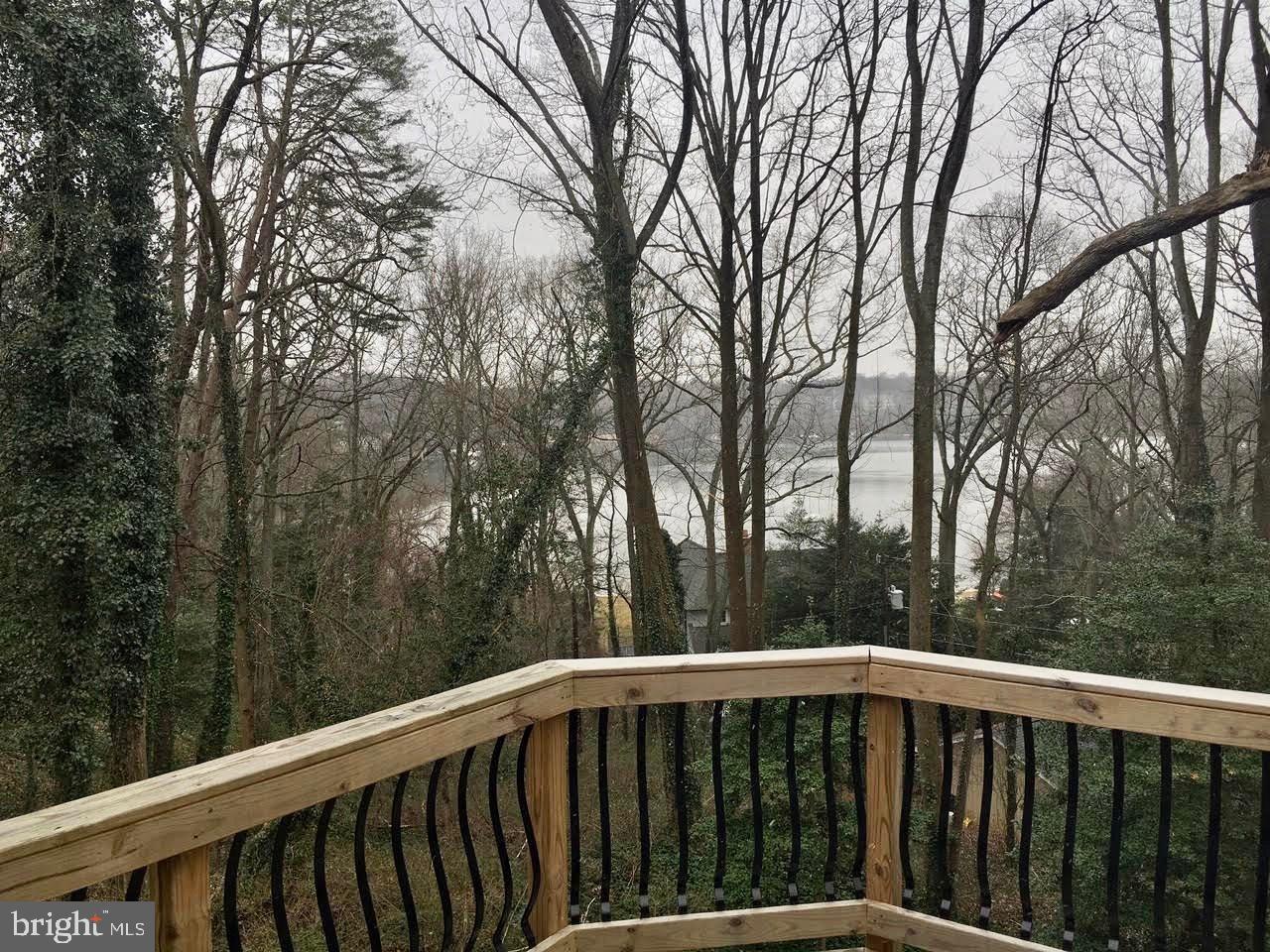 52 Holly Road Severna Park, MD 21146 - Photo 22 of 48 Gallery Image 22