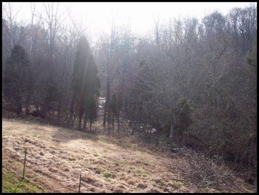 2071 Edwards School Road Loudon, TN 37774 - Photo 21 of 23 Additional Photo