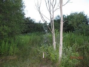 0 Daniels Road South Plymouth, NY 13844 - Photo 1 of 6