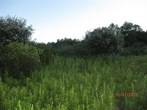 $118,000 | 0 Daniels Road, South Plymouth, NY 13844