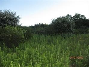 0 Daniels Road South Plymouth, NY 13844 - Photo 2 of 6