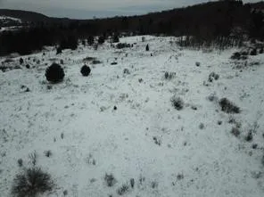 $118,000 | 0 Daniels Road, South Plymouth, NY 13844