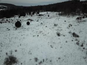 0 Daniels Road South Plymouth, NY 13844 - Photo 3 of 6