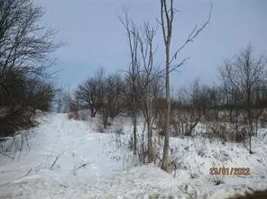 $118,000 | 0 Daniels Road, South Plymouth, NY 13844