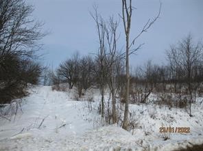 0 Daniels Road South Plymouth, NY 13844 - Photo 4 of 6