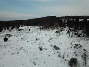 $118,000 | 0 Daniels Road, South Plymouth, NY 13844