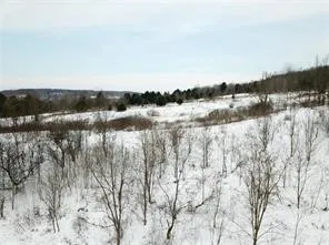 $118,000 | 0 Daniels Road, South Plymouth, NY 13844