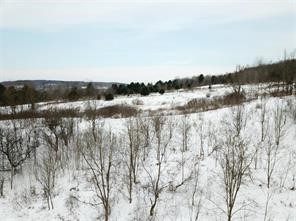 0 Daniels Road South Plymouth, NY 13844 - Photo 6 of 6