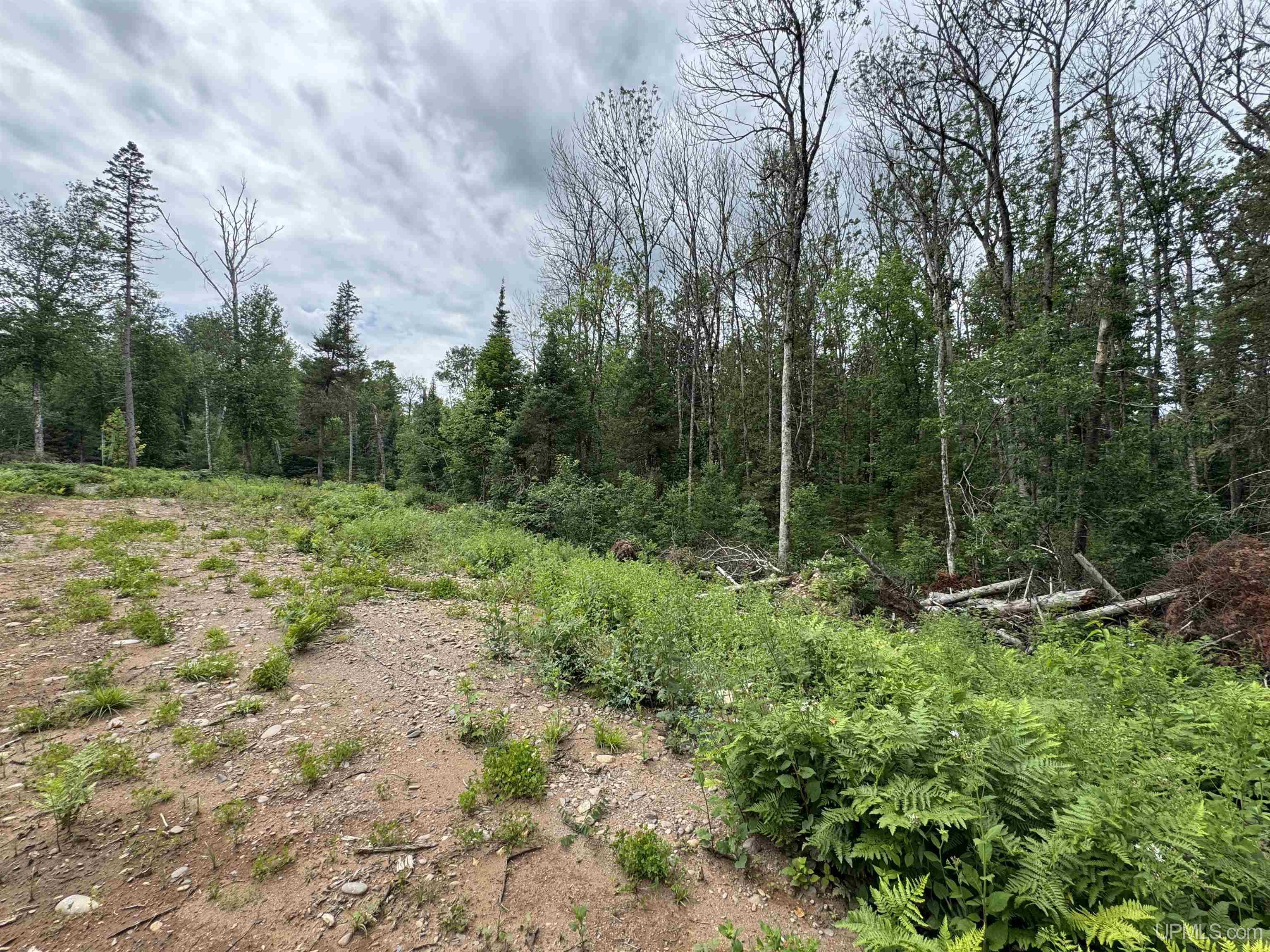 94-acres Off Bates Amasa Road Crystal Falls, MI 49920 - Photo 31 of 38