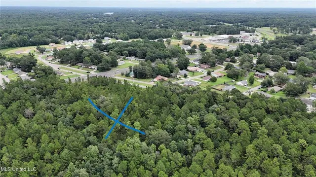 $975,000 | 0 North 43rd Highway, Picayune, MS 39466