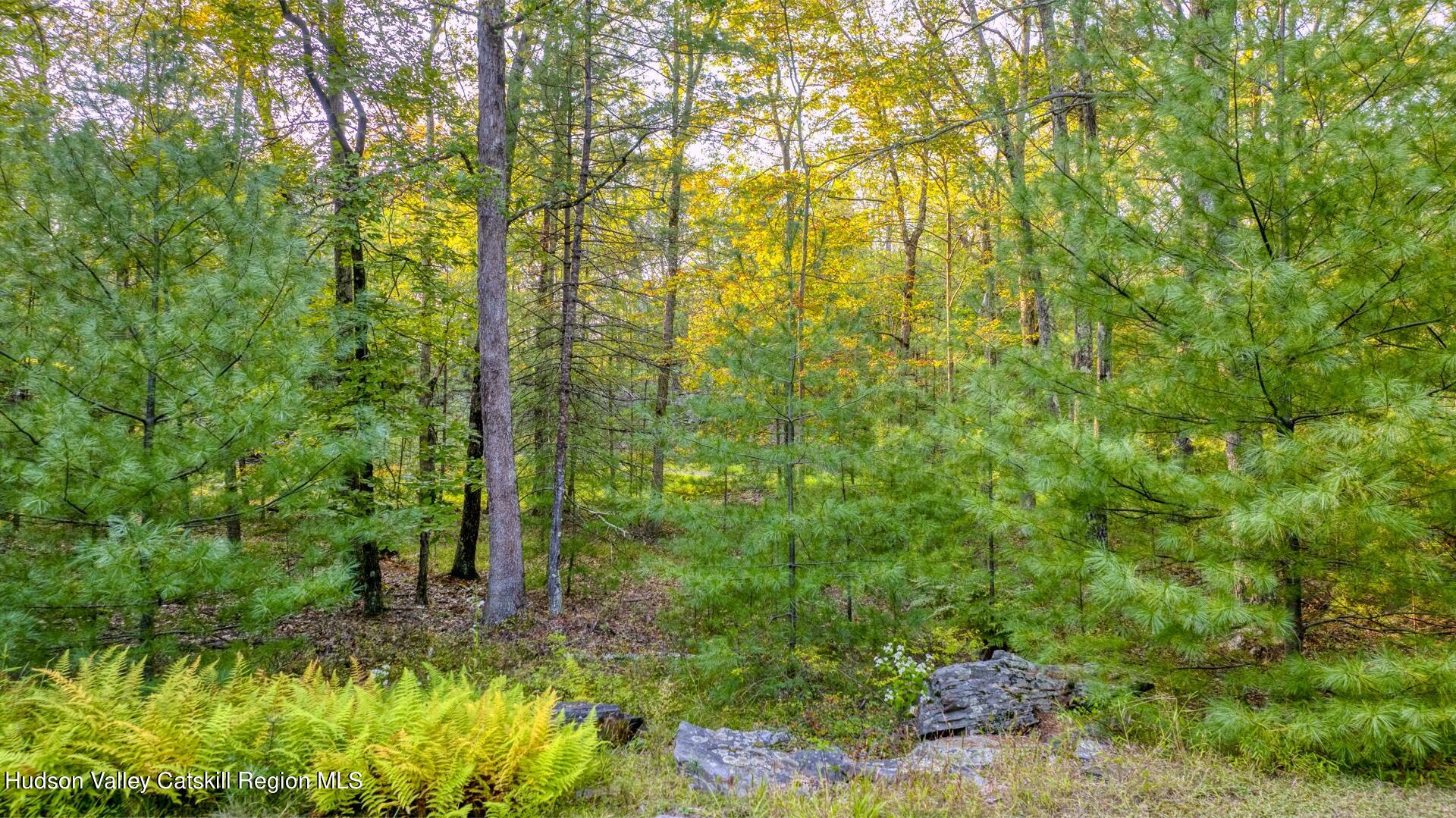 6 Bluestone Ridge Hurley, NY 12443 - Photo 45 of 53 Image-41